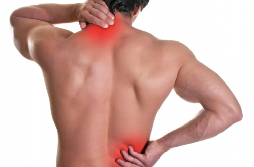 Домашен лек за болка во грбот