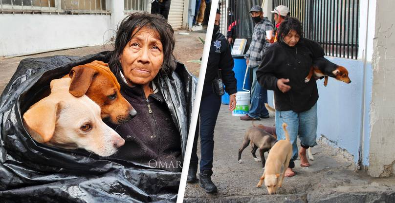 65-годишна жена одбива да оди во прифатилиште за бездомници без нејзините шест кучиња